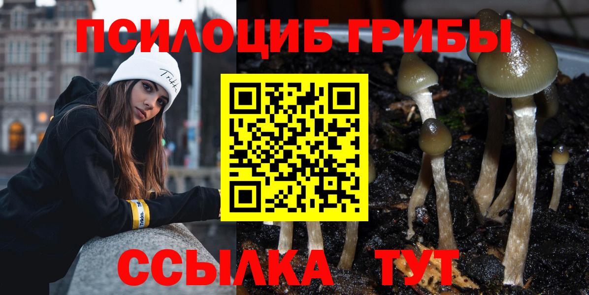 Галлюциногенные грибы Psilocybe Новый Уренгой